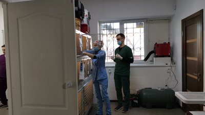 У Полтавській громаді безплатно стерилізують котів: хто може записати тварину на операцію У Полтавській громаді безплатно стерилізують котів: хто може записати тварину на операцію