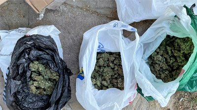 На Закарпатті сімох чоловіків підозрюють у розповсюдженні метамфетаміну і канабісу