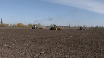 Попит зменшується: як на Черкащині сіють буряк Попит зменшується: як на Черкащині сіють буряк