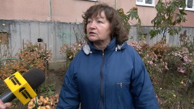 "Виглянув з вікна, і ніякої терапії не треба": на подвір'ї луцької багатоповерхівки у грудні квітнуть рослини "Виглянув з вікна, і ніякої терапії не треба": на подвір'ї луцької багатоповерхівки у грудні квітнуть рослини