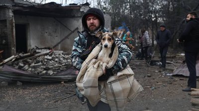 Загинули та поранені тварини: наслідки влучання армії РФ у притулок для собак у Запоріжжі