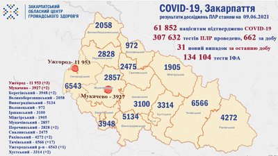 На Закарпатті за добу зафіксували 31 новий випадок COVID-19