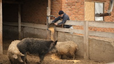 Контактний зоопарк на місці колишнього сміттєзвалища облаштували на Вінниччині Контактний зоопарк на місці колишнього сміттєзвалища облаштували на Вінниччині