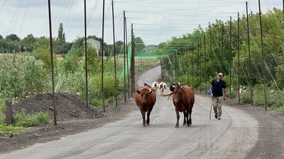 Що закуповували у липні для оборони Донецької області