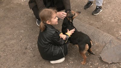 Софія Фортус, волонтерка