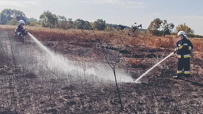 Гасіння першої у цьому році пожежі торфу на Тернопільщині. 2 жовтня / Архівне фото пожежно-рятувальної служби