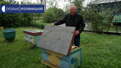 Пасічник з Кіровоградщини вимагає у фермера 180 тисяч гривень компенсації за загибель бджіл