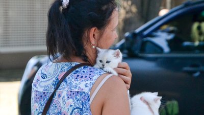 Як одесити проживають шостий місяць війни Як одесити проживають шостий місяць війни