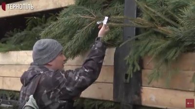 Чи мають чіпи ялинки, які продають в Тернополі? Держекоінспектори вишли на рейд