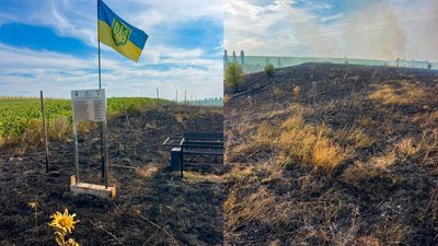 У громаді на Буковині згоріли дуби, які висадили на честь полеглих військових
