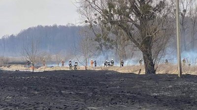 Черкаські рятувальники ліквідували пожежу сухостою площею 40 гектарів Черкаські рятувальники ліквідували пожежу сухостою площею 40 гектарів