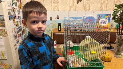 Денис Зданевич, Малин, Житомирщина, тварини. притулок, допомога
