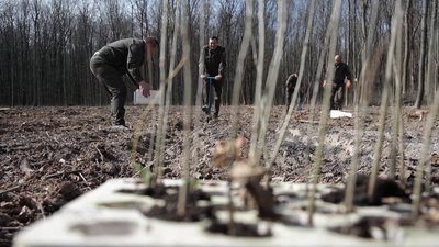 Під час весняної кампанії на Вінниччині планують висадити 720 гектарів лісів Під час весняної кампанії на Вінниччині планують висадити 720 гектарів лісів