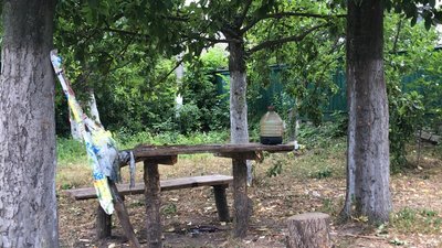 Вдарив жінку, посварився з односельцем, кинув гранату: подробиці трагедії на Чернігівщині
