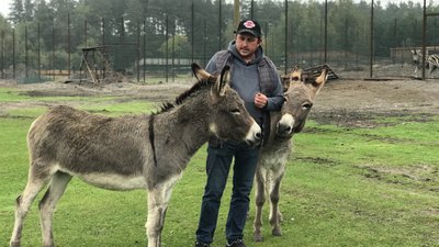 Через війну в екопарку біля Полтави живуть тварини з інших областей