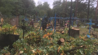 Пошкодили понад два десятки могил – на Житомирщині зрізали дерева на кладовищі Пошкодили понад два десятки могил – на Житомирщині зрізали дерева на кладовищі