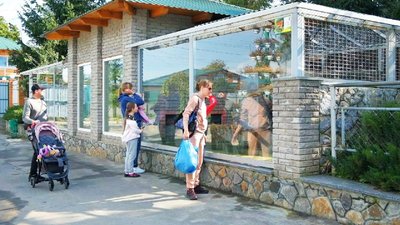 У вінницькому Подільському зоопарку поселилася рись-переселенка з Миколаєва У вінницькому Подільському зоопарку поселилася рись-переселенка з Миколаєва