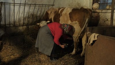 “Хтось схиляв голову, а хтось пручався”. Спогади вінничан про два Голодомори “Хтось схиляв голову, а хтось пручався”. Спогади вінничан про два Голодомори
