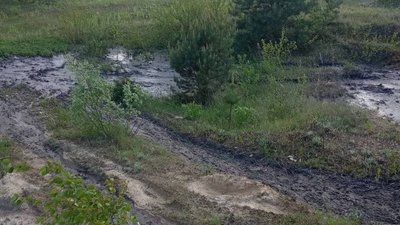На Волині екологи виявили незаконний злив нечистот На Волині екологи виявили незаконний злив нечистот