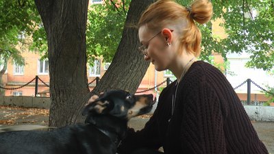 "Найчастіше звертаються з котиками". Переселенцям у Дніпрі надали корм для тварин "Найчастіше звертаються з котиками". Переселенцям у Дніпрі надали корм для тварин
