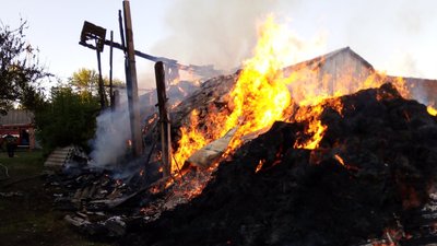 На Житомирщині 7-річний хлопчик намагався самостійно загасити пожежу – дитина в лікарні