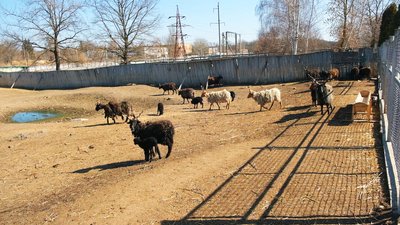 У Вінницькому зоопарку розпочався весняний бебі-бум