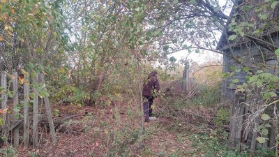 Поліціянти чотирьох районів Сумщини всю ніч шукали 9-річного хлопчика Поліціянти чотирьох районів Сумщини всю ніч шукали 9-річного хлопчика