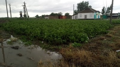 Затоплені городи, розмиті дороги: на Херсонщині дощить Затоплені городи, розмиті дороги: на Херсонщині дощить