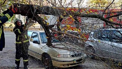Повалені дерева: на Черкащині ліквідовують наслідки негоди