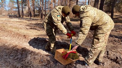 "Буде ліс — буде свіже повітря": на Черкащині лісівники з військовими висадили дерева