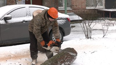 Чи не шкодить деревам санація при мінусових температурах у Черкасах Чи не шкодить деревам санація при мінусових температурах у Черкасах