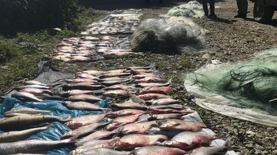 На Хмельниччині виявили браконьєрів, які наловили риби на 300 тисяч гривень