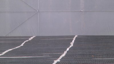 На півночі Житомирщини в теплицях вирощують 400 тисяч сіянців сосни На півночі Житомирщини в теплицях вирощують 400 тисяч сіянців сосни