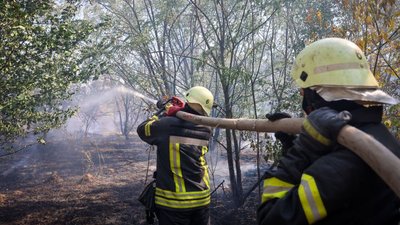 На Харківщині горить трава