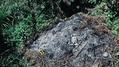 Прикарпатські поліцейські затримали підозрюваного у вбивстві співмешканки Прикарпатські поліцейські затримали підозрюваного у вбивстві співмешканки