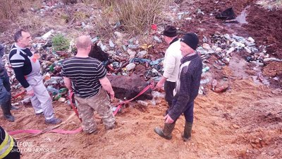 Двох коней з трясовини витягували рятувальники на Закарпатті