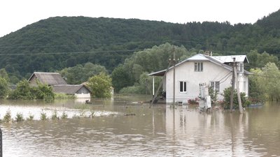 У прикарпатському селі Нижнів підтопило третину обійсть У прикарпатському селі Нижнів підтопило третину обійсть