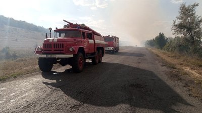 В Одеській області горить лісовий масив В Одеській області горить лісовий масив