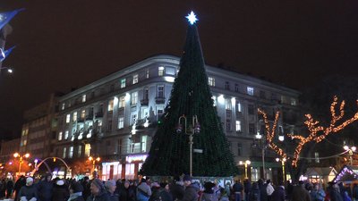 В Івано-Франківську засвітили головну ялинку В Івано-Франківську засвітили головну ялинку
