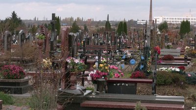 У Рівному пропонують обмежити продаж штучних квітів: зареєстровано петицію