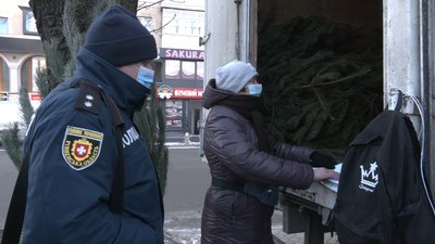 Ялинковий рейд: які дерева продають біля ринку у Рівному та як це контролюють Ялинковий рейд: які дерева продають біля ринку у Рівному та як це контролюють
