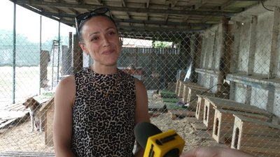 Зооволонтерка Оксана Кріль