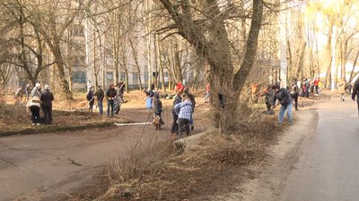 Близько двохсот людей долучилися до акції "Чистий день" у Житомирі Близько двохсот людей долучилися до акції "Чистий день" у Житомирі
