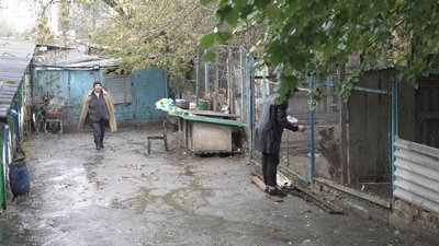 “Можна погратися або принести гостинця”: у вінницькому притулку організували акцію “Тварини під опіку”