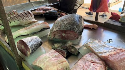 У Миколаєві на ринках перевіряють дотримання заборони на продаж риби