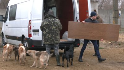 День волонтера: рівняни завезли допомогу в притулок для котів і собак День волонтера: рівняни завезли допомогу в притулок для котів і собак