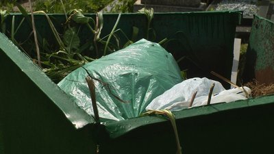 "Ні штучним квітам і вінкам": як і чому у Хмельницькому борються зі штучними квітами на могилах "Ні штучним квітам і вінкам": як і чому у Хмельницькому борються зі штучними квітами на могилах