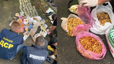 Бурштин у підвалі