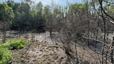 Забруднена ділянка