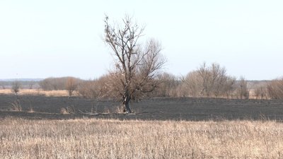 пожежа черка пожежа черка